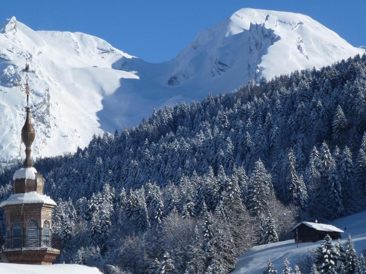 CHALET LES ARAVIS Chalets et Appartements Le Grand-Bornand Extérieur photo