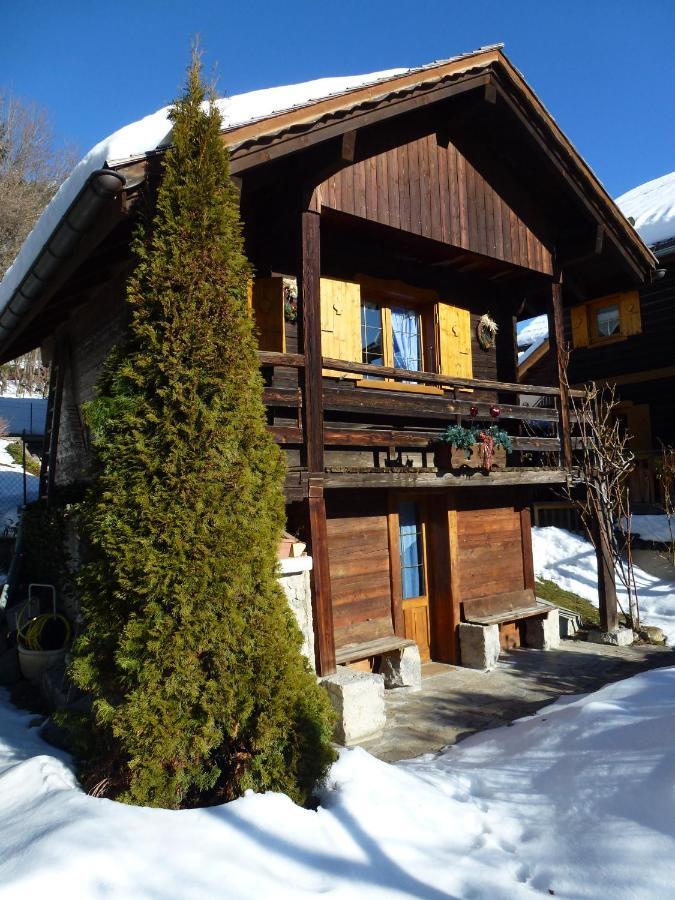 CHALET LES ARAVIS Chalets et Appartements Le Grand-Bornand Extérieur photo