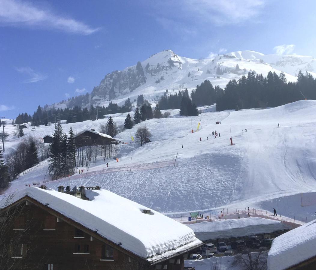 CHALET LES ARAVIS Chalets et Appartements Le Grand-Bornand Extérieur photo